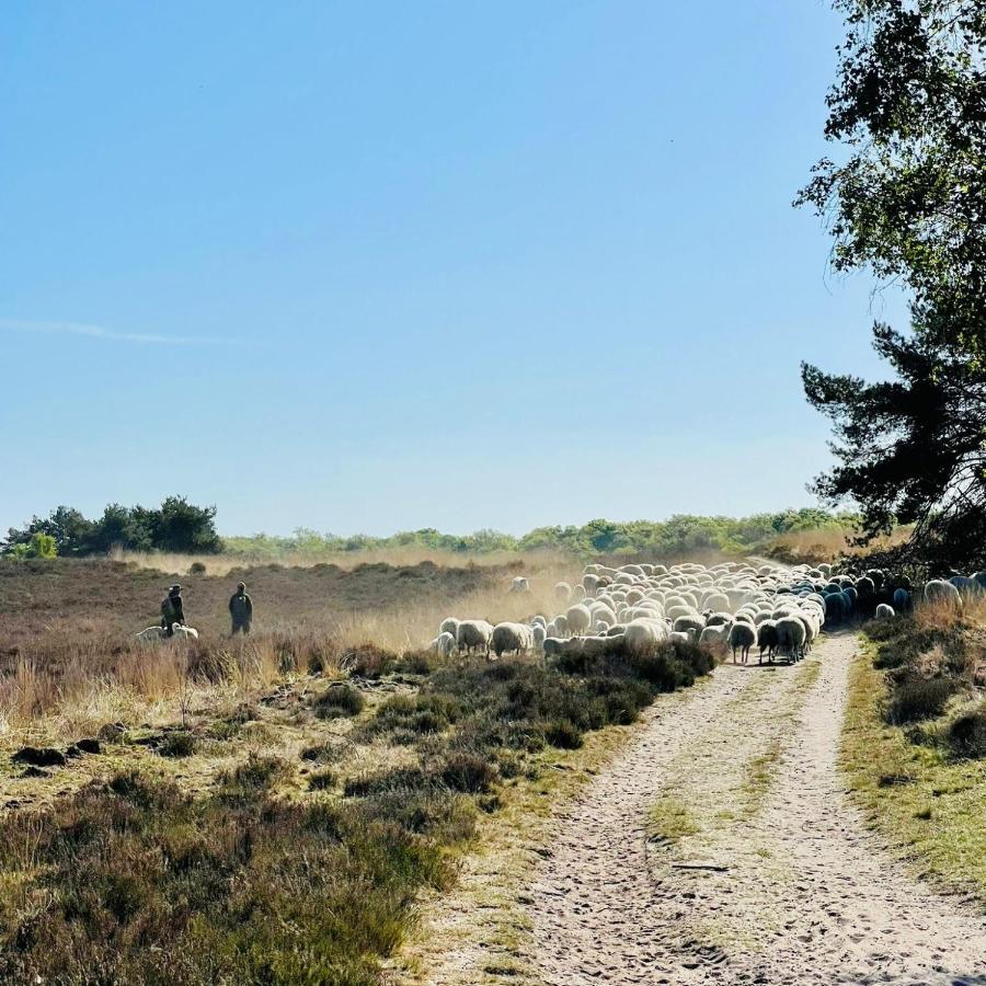Luxe Vakantiehuis Huismus Veluwe Nunspeet Exteriér fotografie